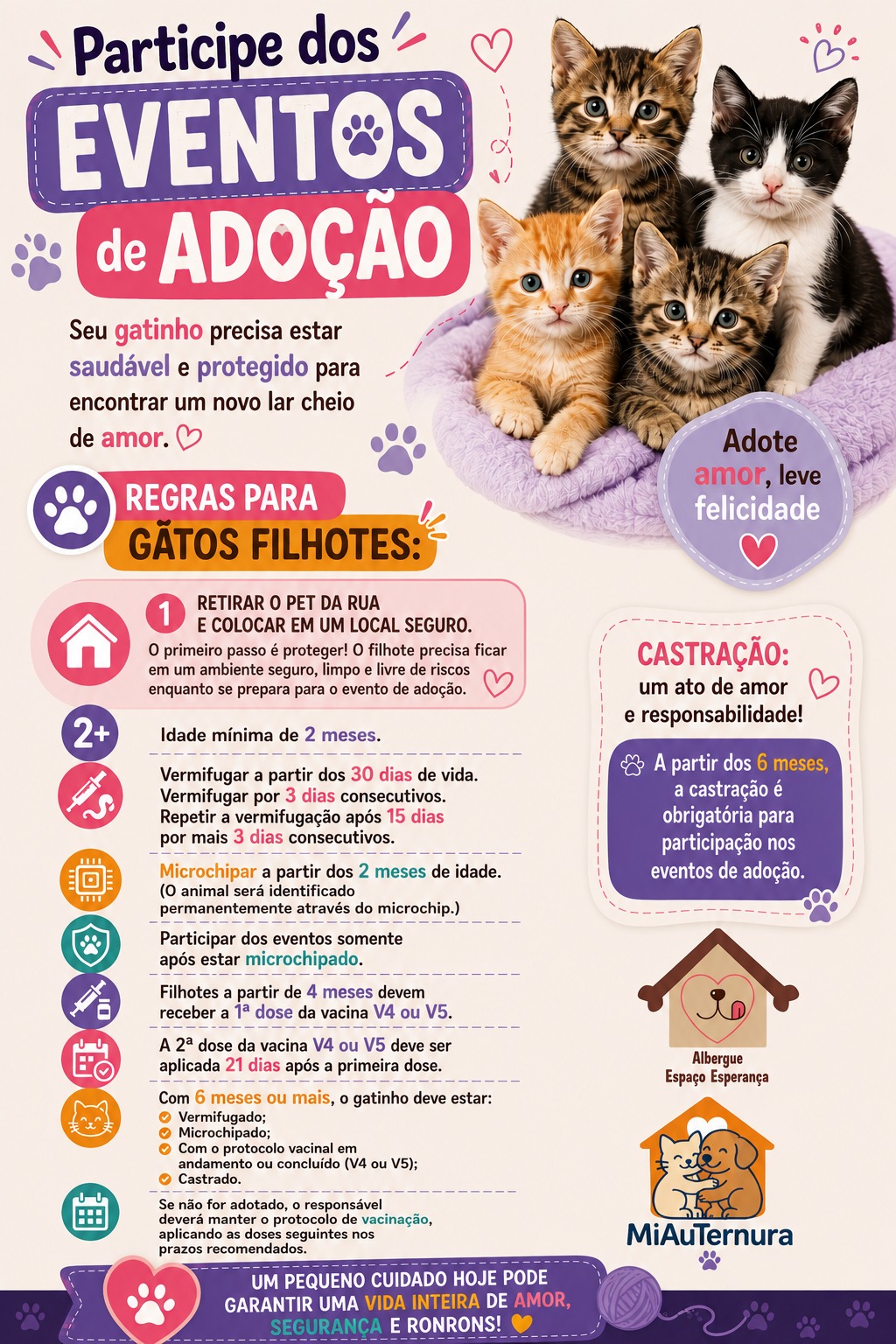 Regras para gatos filhotes resgatados